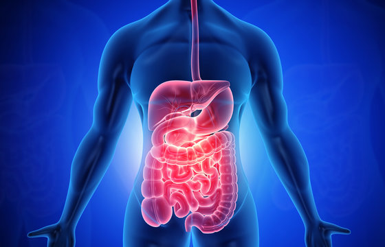 Antibiotics